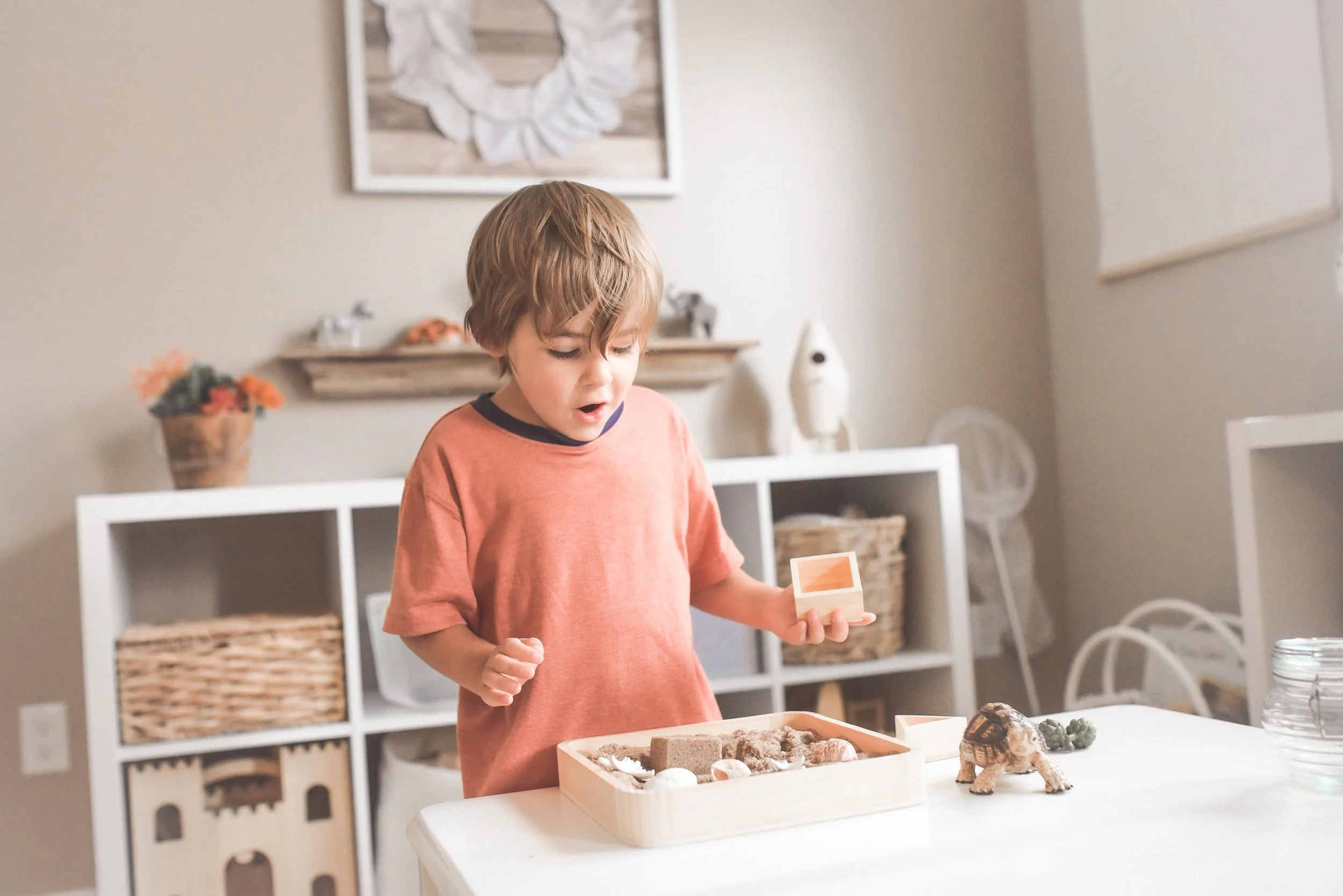 Organized Kids Playroom